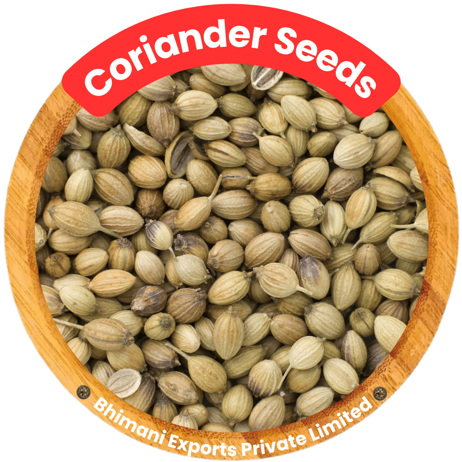 Coriander seed supplier