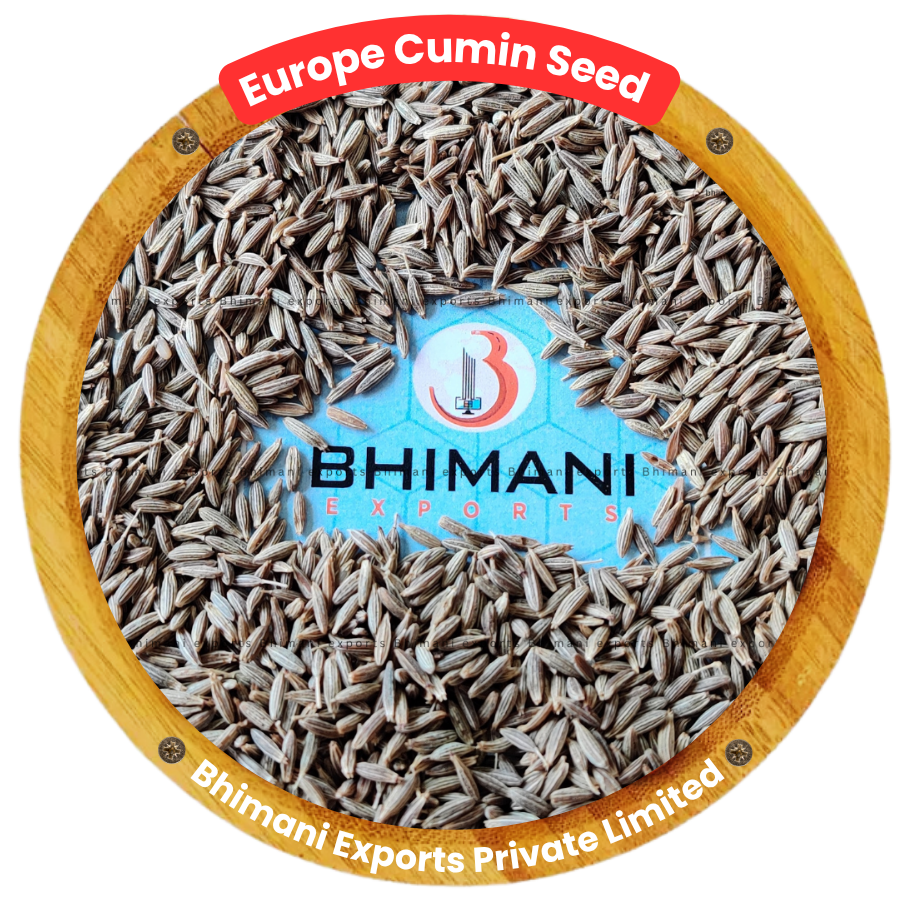 Cumin Seeds Supplier