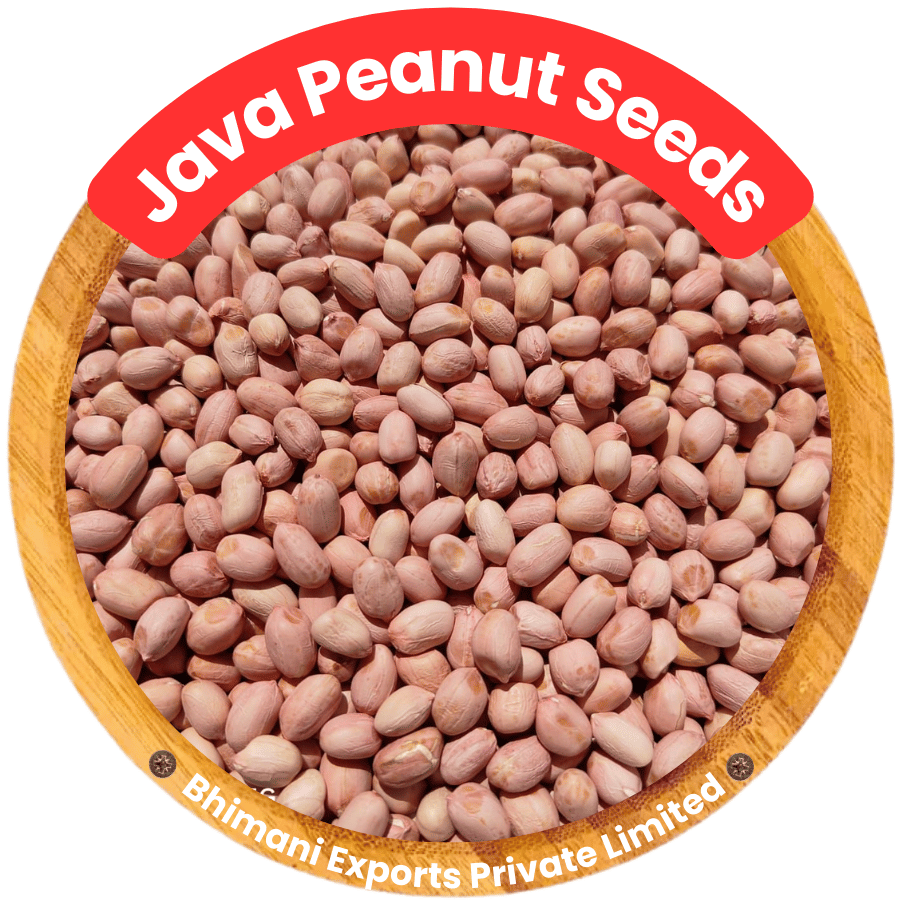 JAVA Peanut Seeds