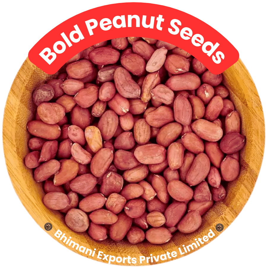 Bold Peanut Seeds