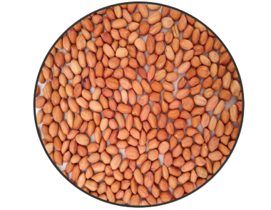 Peanut seeds 