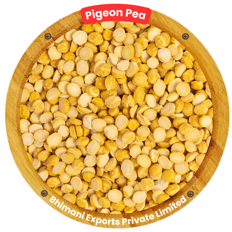 Pigeon Pea Supplier