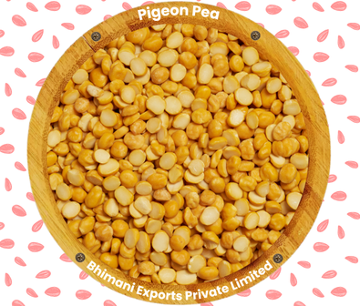 Pigeon Pea Supplier