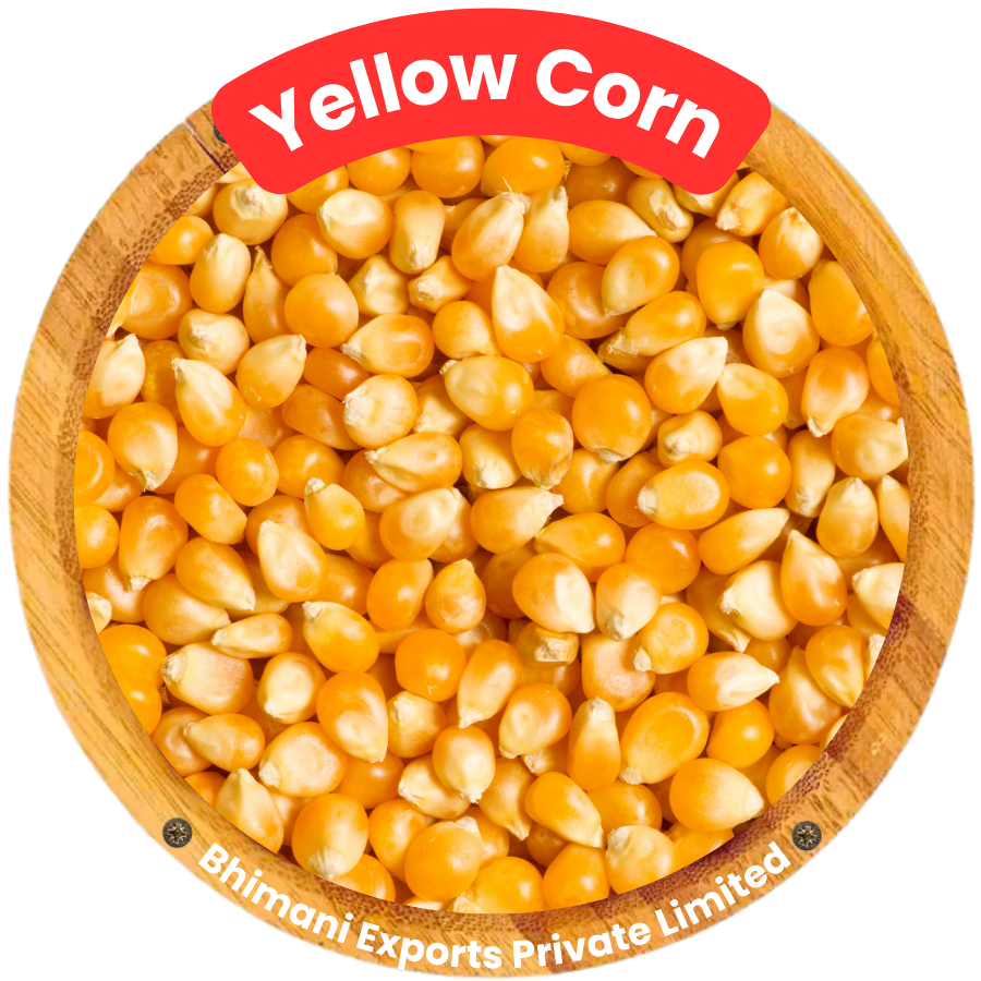 Yellow Corn