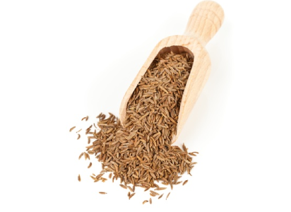 Cumin seeds Supplier from India