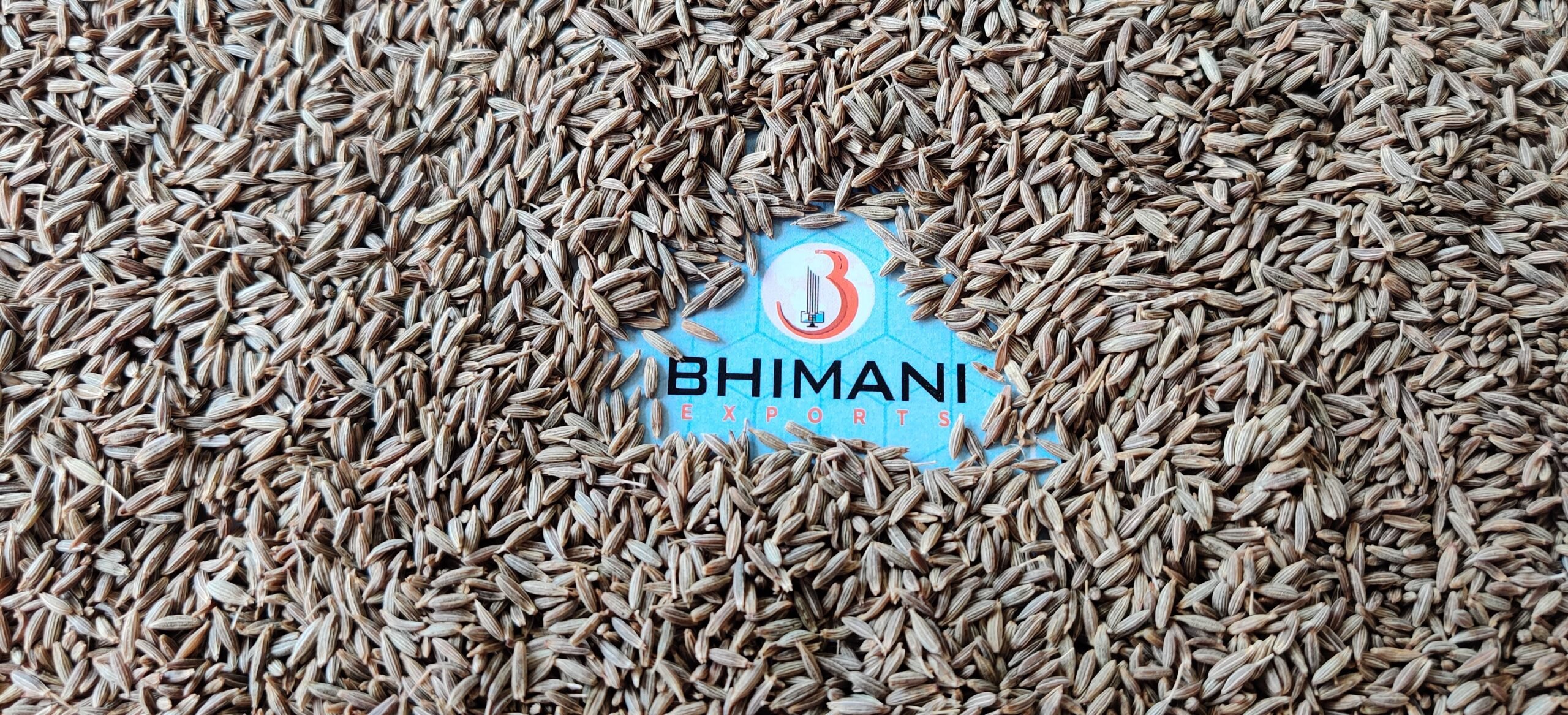 Cumin seeds exporter