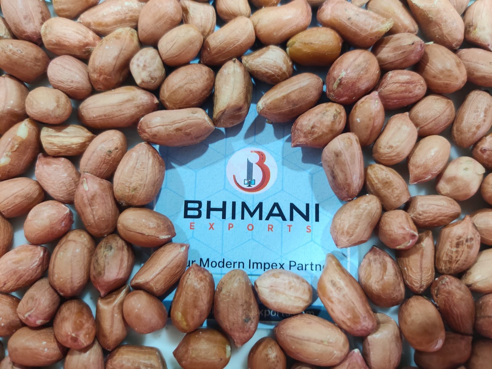Peanut seeds supplier, producer, and exporter