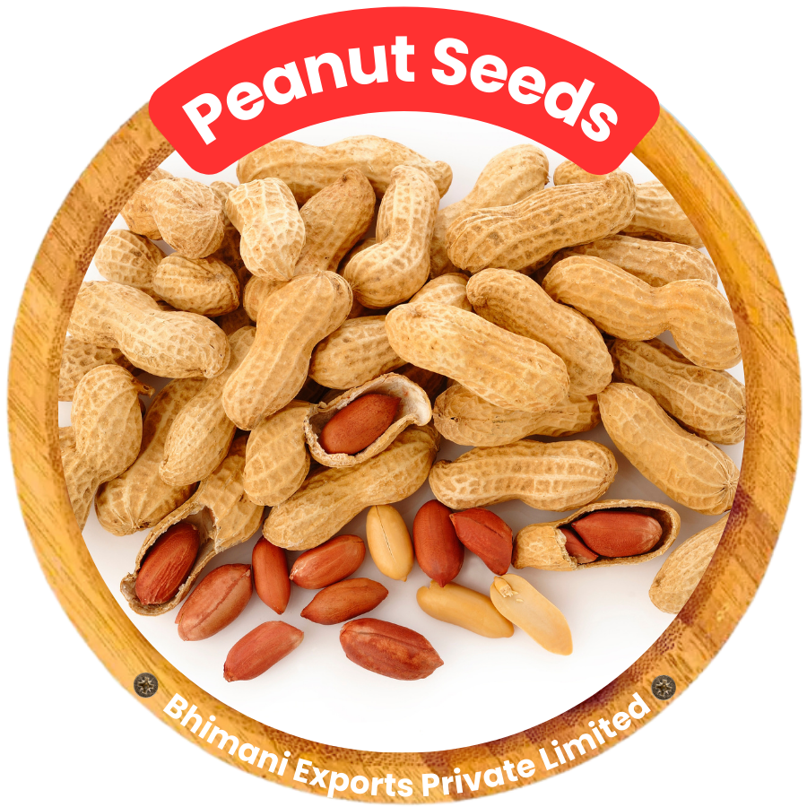 peanut Seeds Groundnut Seeds