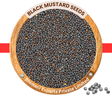 mustard seeds exporter from india