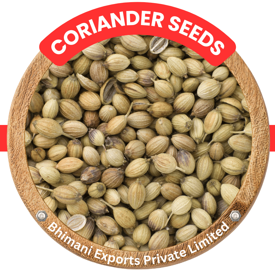 Coriander Seeds Exporter from India