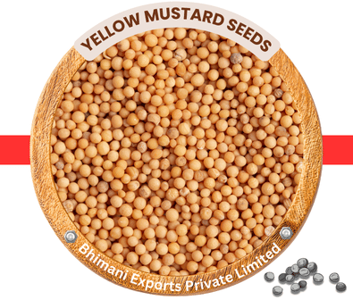 mustard seeds exporter from india