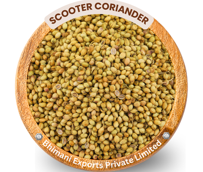 coriander-seeds-exporter-india